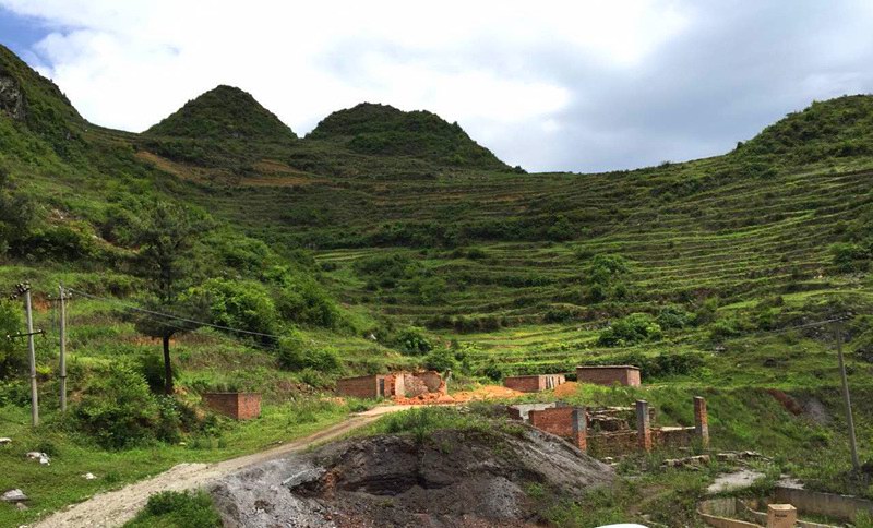 1490952745434324.jpg 1490952745434324.jpg