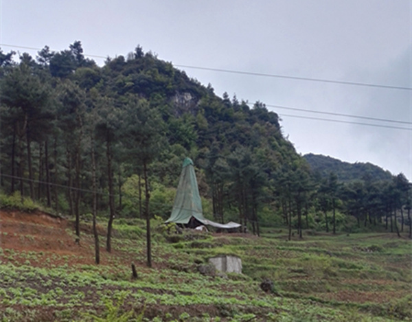 把脈“黔”鋅地，問(wèn)診開(kāi)良方